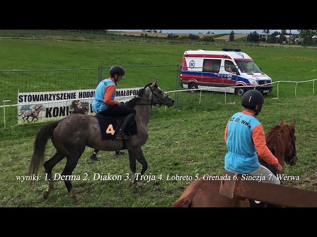 Dimanche 20 juillet 2025 CHANTILLY (R1-C3) – PRIX DU CHATEAU NEUF
