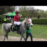 Dimanche 27 juillet 2025 LA TESTE (R1-C3) - PRIX LE JOURNAL LE VEINARD