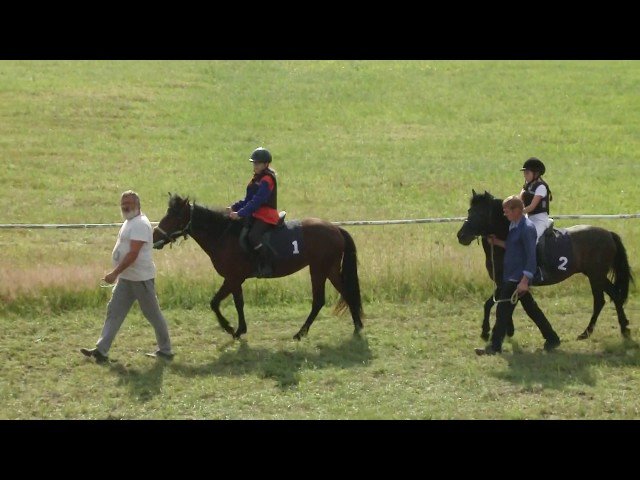 Lundi 11 mai 2026 VICHY (R1-C4) – PRIX DE MARIGNY
