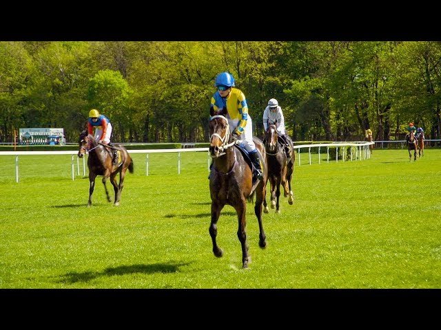 Mercredi 10 décembre 2025 VINCENNES (R1-C1) – PRIX DE L’ANGOUMOIS