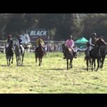 Samedi 06 juin 2026 VINCENNES (R1-C4) - PRIX JULES THIBAULT