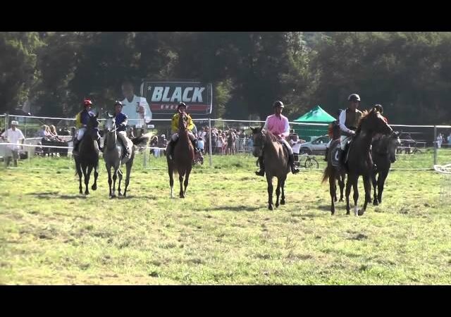 Lundi 21 juillet 2025 COMPIEGNE (R1-C7) – PRIX DU CHATEAU DE PIERREFONDS