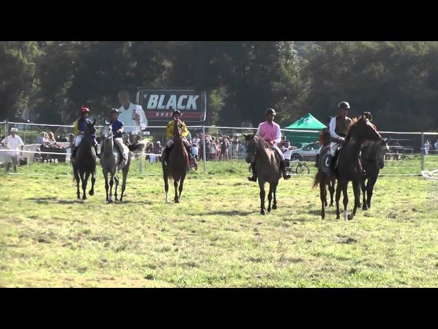 Lundi 21 juillet 2025 COMPIEGNE (R1-C7) – PRIX DU CHATEAU DE PIERREFONDS