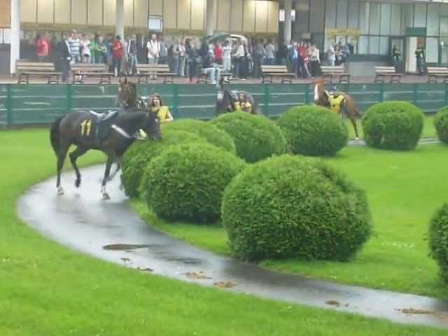 Vendredi 06 juin 2025 VINCENNES (R1-C4) – PRIX ADALBERTA