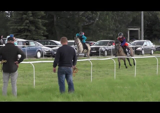 Mardi 29 juillet 2025 COMPIEGNE (R1-C8) – PRIX DES BORDS DE L’OISE
