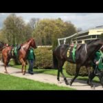 Lundi 18 mai 2026 BORELY (R1-C4) - PRIX LOUIS BRUNET