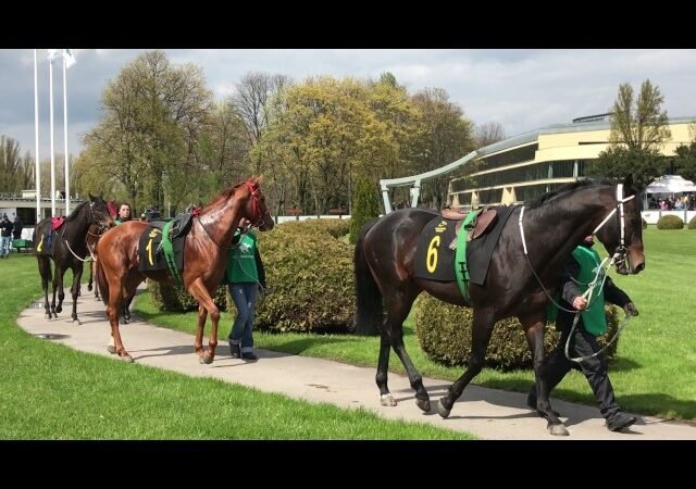 Mardi 22 juillet 2025 DIEPPE (R1-C7) – PRIX DE SUSSEX