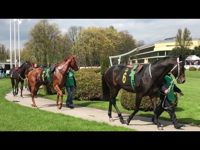Mardi 22 juillet 2025 DIEPPE (R1-C7) – PRIX DE SUSSEX