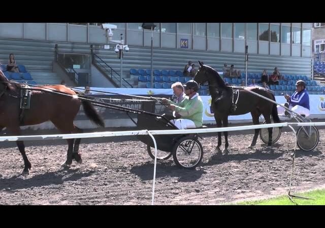Lundi 07 juillet 2025 CHATEAUBRIANT (R1-C7) – PRIX XAVIER HUNAULT