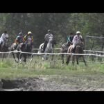 Lundi 28 juillet 2025 CLAIREFONTAINE (R1-C4) - PRIX GENYBET (PRIX LEOPOLD D'ORSETTI)