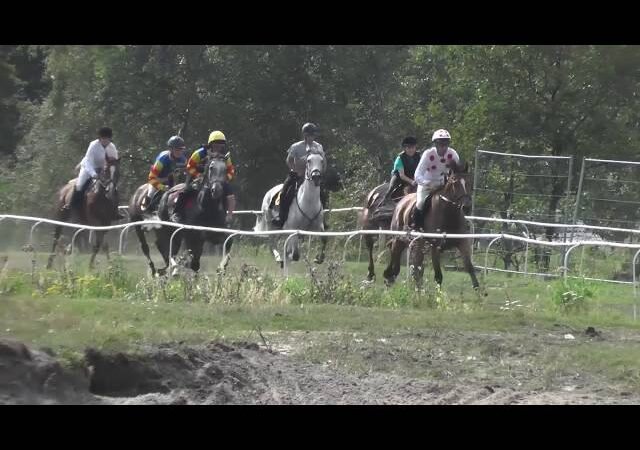 Lundi 28 juillet 2025 CLAIREFONTAINE (R1-C4) – PRIX GENYBET (PRIX LEOPOLD D’ORSETTI)