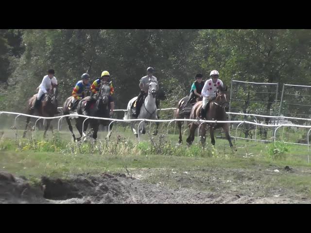 Lundi 28 juillet 2025 CLAIREFONTAINE (R1-C4) – PRIX GENYBET (PRIX LEOPOLD D’ORSETTI)