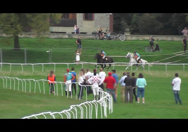 Vendredi 11 juillet 2025 CABOURG (R1-C4) – PRIX DES HELLEBORES