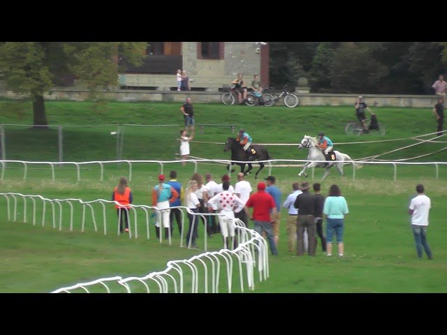 Vendredi 11 juillet 2025 CABOURG (R1-C4) – PRIX DES HELLEBORES