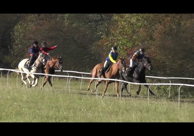 Vendredi 09 mai 2025 VINCENNES (R1-C4) – PRIX LEO