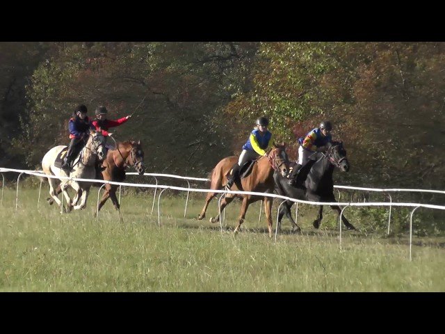 Vendredi 09 mai 2025 VINCENNES (R1-C4) – PRIX LEO