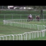 Mardi 24 février 2026 CAGNES/MER (R1-C4) - PRIX RAUBA CAPEU