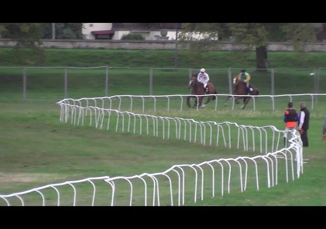 Mardi 24 février 2026 CAGNES/MER (R1-C4) – PRIX RAUBA CAPEU