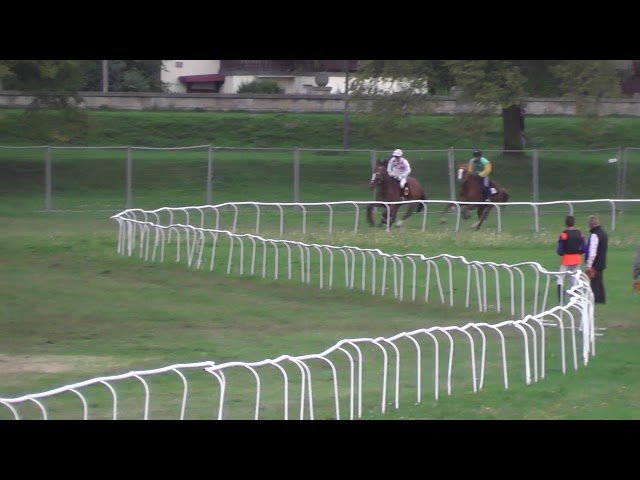 Dimanche 12 juillet 2026 DEAUVILLE (R1-C3) – HARAS DE FRESNAY-LE-BUFFARD PRIX DE BALLEROY