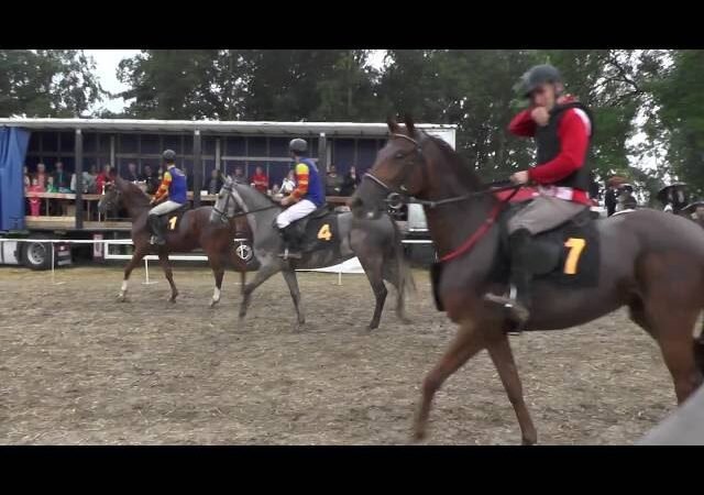 Mardi 03 mars 2026 CHANTILLY (R1-C2) – PRIX DU CENTRE D’ENTRAINEMENT