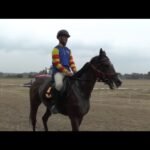 Mardi 03 février 2026 VINCENNES (R1-C1) - PRIX DE MONSEGUR