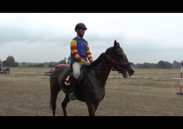 Mercredi 14 mai 2025 VINCENNES (R1-C1) – PRIX DU PERREUX