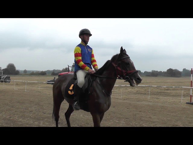 Mercredi 14 mai 2025 VINCENNES (R1-C1) – PRIX DU PERREUX