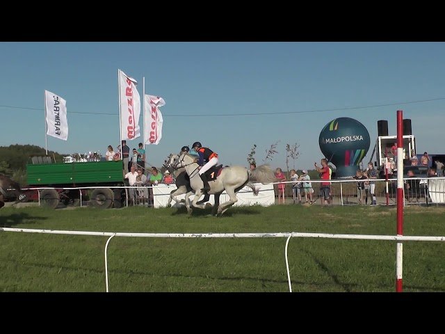 Jeudi 03 juillet 2025 ParisLongchamp (R1-C6) – PRIX DE LA GARDEN PARTY