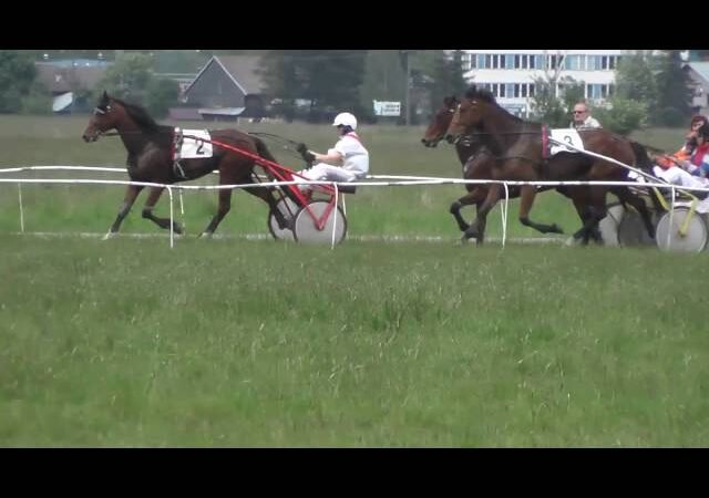 Dimanche 25 mai 2025 ParisLongchamp (R1-C4) – PRIX DES EPINETTES
