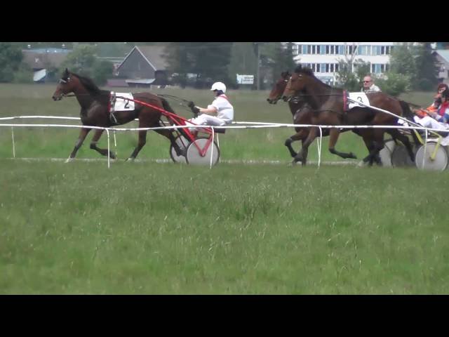 Dimanche 25 mai 2025 ParisLongchamp (R1-C4) – PRIX DES EPINETTES