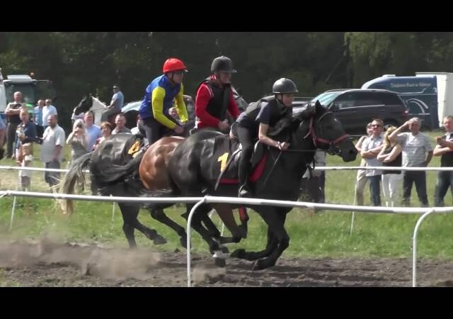 Samedi 14 juin 2025 ENGHIEN (R1-C4) – PRIX DE NEW YORK