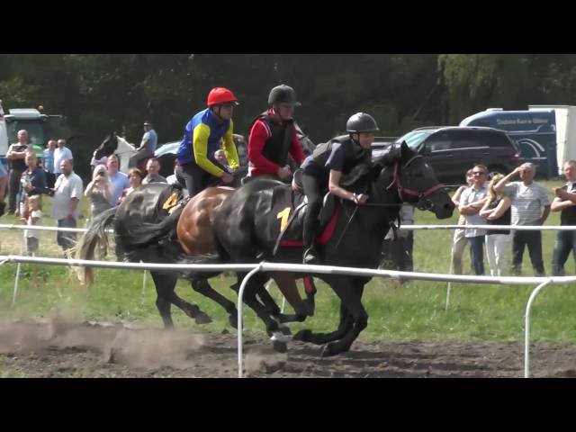 Samedi 14 juin 2025 ENGHIEN (R1-C4) – PRIX DE NEW YORK