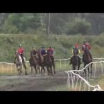 Mercredi 04 mars 2026 AMIENS (R1-C1) - GRAND NATIONAL DU TROT