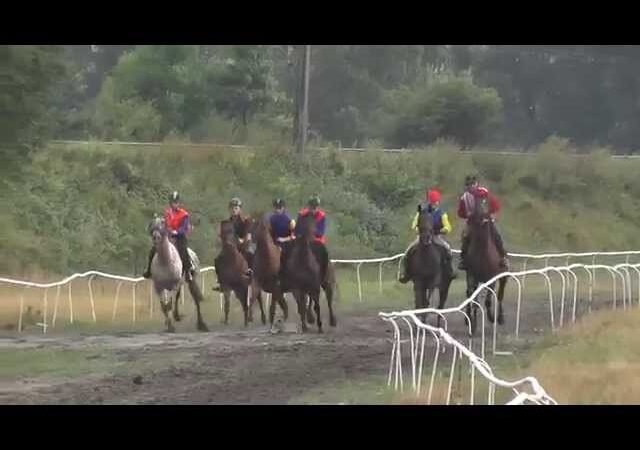 Jeudi 24 juillet 2025 COMPIEGNE (R1-C8) – PRIX DE LA VALLEE DE L’OISE
