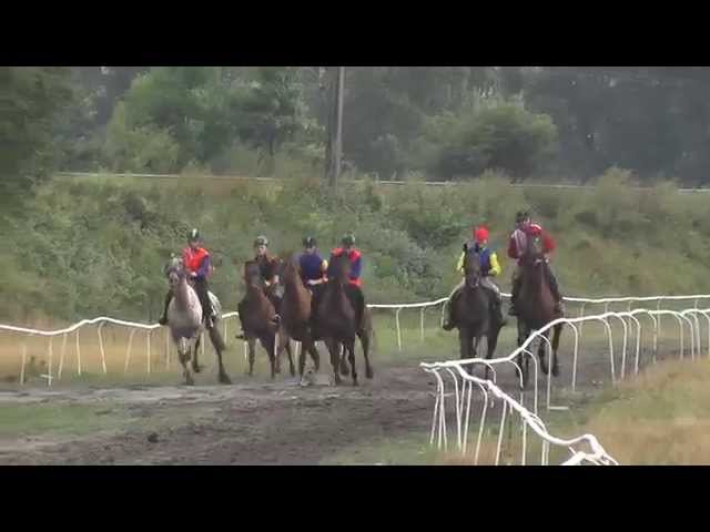 Jeudi 24 juillet 2025 COMPIEGNE (R1-C8) – PRIX DE LA VALLEE DE L’OISE