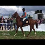 Vendredi 20 mars 2026 VINCENNES (R1-C8) - PRIX DE PREUILLY