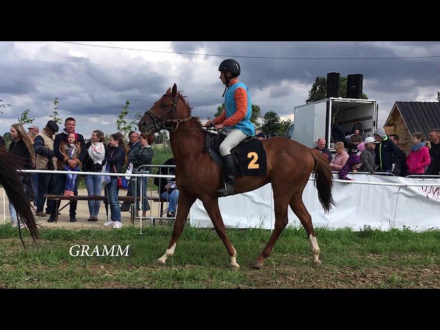 Mardi 03 juin 2025 SAINT-CLOUD (R1-C1) – PRIX DU CHATEAU DE SAINT-CLOUD
