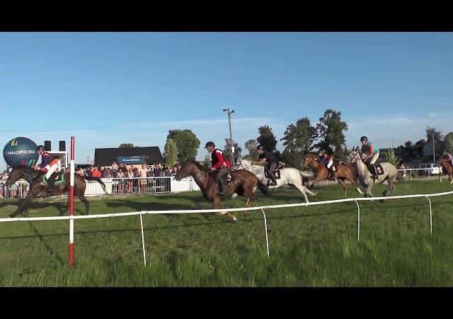 Mercredi 13 mai 2026 VINCENNES (R1-C1) – PRIX DU PERREUX
