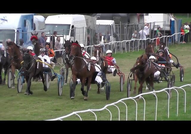 Lundi 16 février 2026 VINCENNES (R1-C1) – PRIX DE L’HIPPODROME D’ANGERS-ECOUFLANT