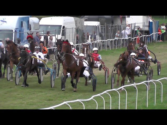 Mardi 07 juillet 2026 CHANTILLY (R1-C8) – PRIX LE ROI SOLEIL