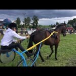 Mardi 05 mai 2026 SAINT-CLOUD (R1-C1) - PRIX DE FOUILLEUSE