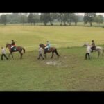 Vendredi 13 février 2026 VINCENNES (R1-C8) - GD PX DU VENDREDI 13 (PX CHATEAURENARD)