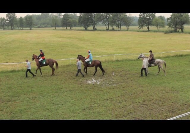 Vendredi 13 février 2026 VINCENNES (R1-C8) – GD PX DU VENDREDI 13 (PX CHATEAURENARD)