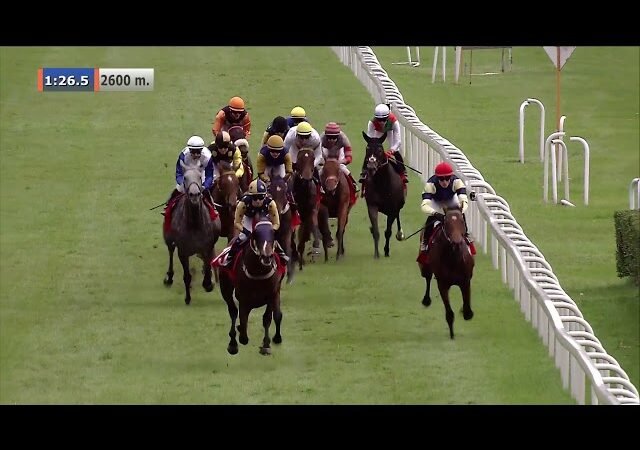 Dimanche 06 juillet 2025 DEAUVILLE (R1-C3) – PRIX DE LA PLACE MORNY