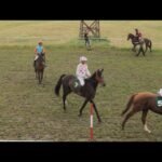 Jeudi 12 février 2026 CAGNES/MER (R1-C1) - PRIX JULES ROUCAYROL