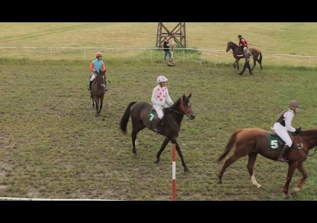 Jeudi 12 février 2026 CAGNES/MER (R1-C1) – PRIX JULES ROUCAYROL