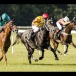 Mardi 28 avril 2026 CHANTILLY (R1-C1) - PRIX CHANTILLY CAPITALE DU CHEVAL