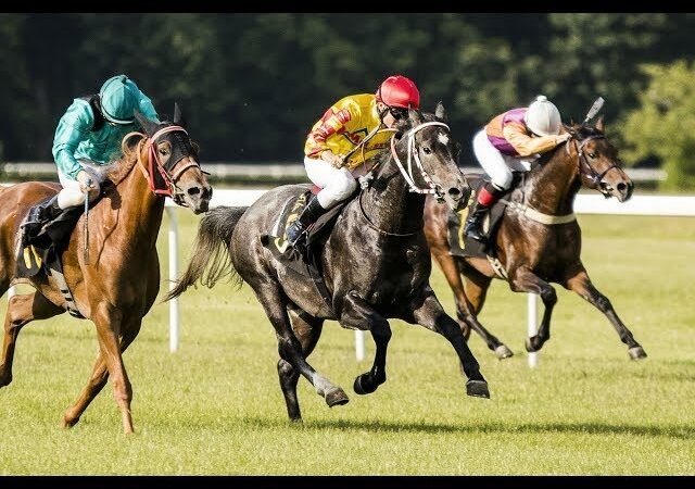 Mardi 28 avril 2026 CHANTILLY (R1-C1) – PRIX CHANTILLY CAPITALE DU CHEVAL