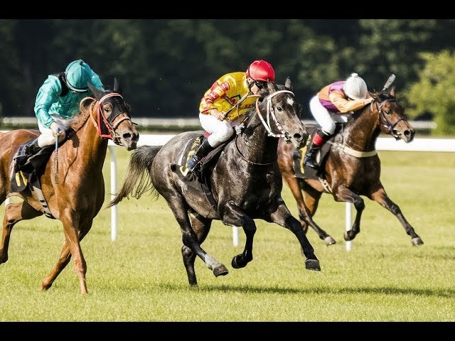 Mardi 28 avril 2026 CHANTILLY (R1-C1) – PRIX CHANTILLY CAPITALE DU CHEVAL