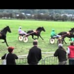 Mercredi 04 février 2026 CAGNES/MER (R1-C2) - PRIX DE GRASSE